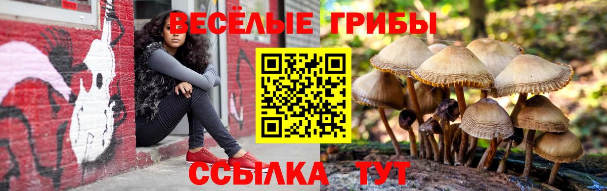 Псилоцибиновые грибы мухоморы  Псилоцибиновые грибы ЛСД  Вход с VPN  Коломна 